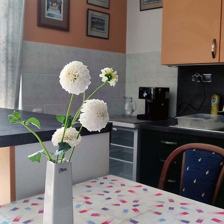 Apartman Ulehla Злин Экстерьер фото