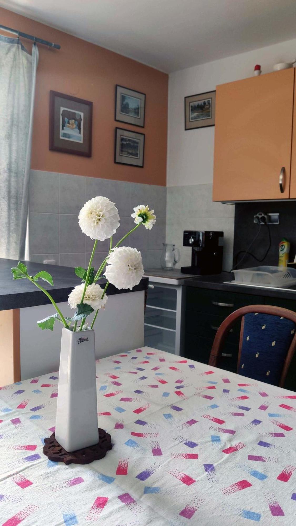 Apartman Ulehla Злин Экстерьер фото